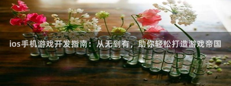 摩根娱乐云挂机是真的嘛安全吗：ios手机游戏开发指南：从无到