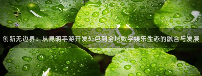 摩根娱乐官网入口网址是什么：创新无边界：从昆明手游开发外包到