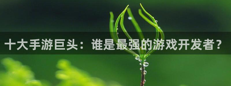 摩根娱乐挂机项目：十大手游巨头：谁是最强的游戏开发者？