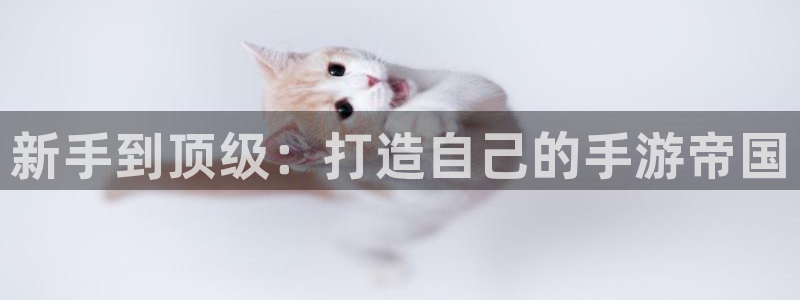 摩根娱乐app下载安装：新手到顶级：打造自己的手游帝国